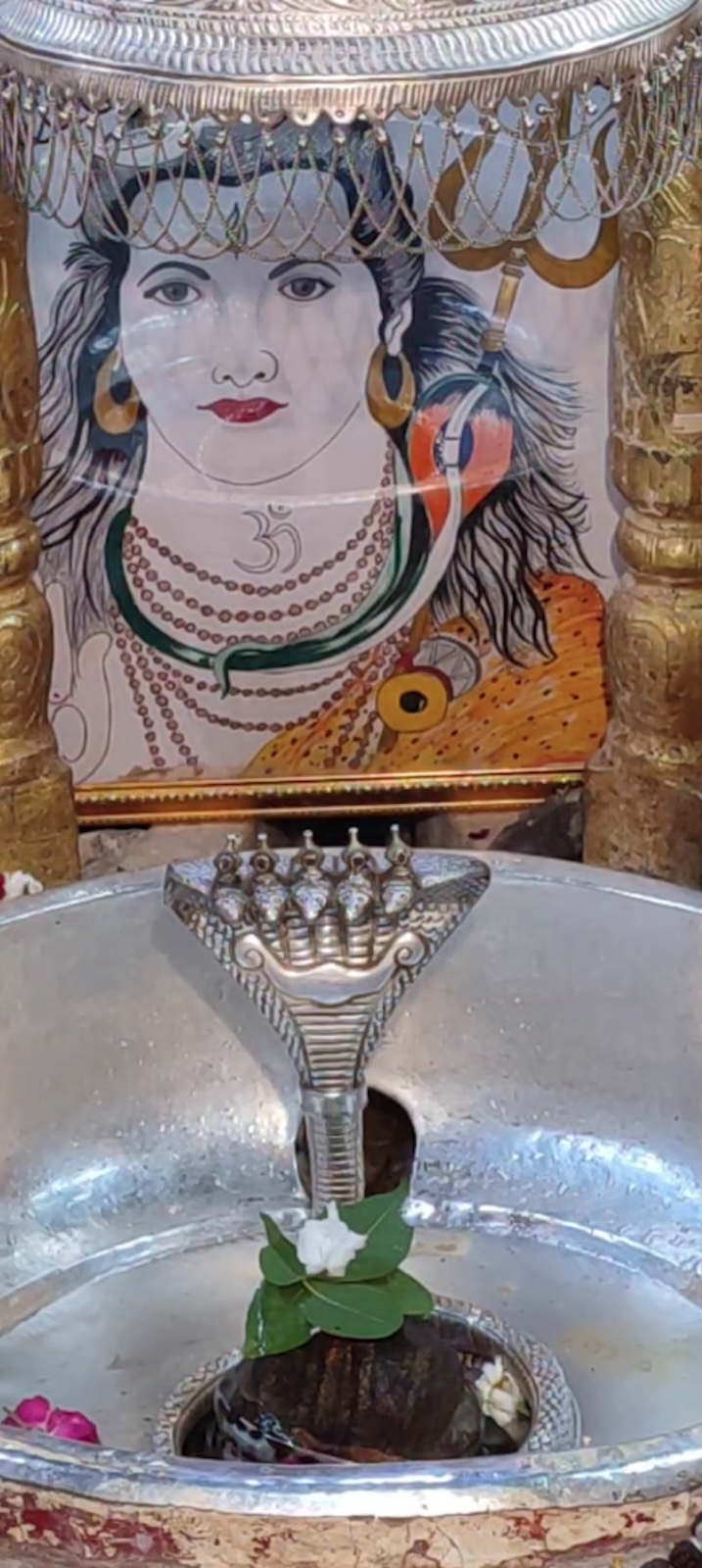Rudrabhishek to Shree Kubereshwar Mahadev