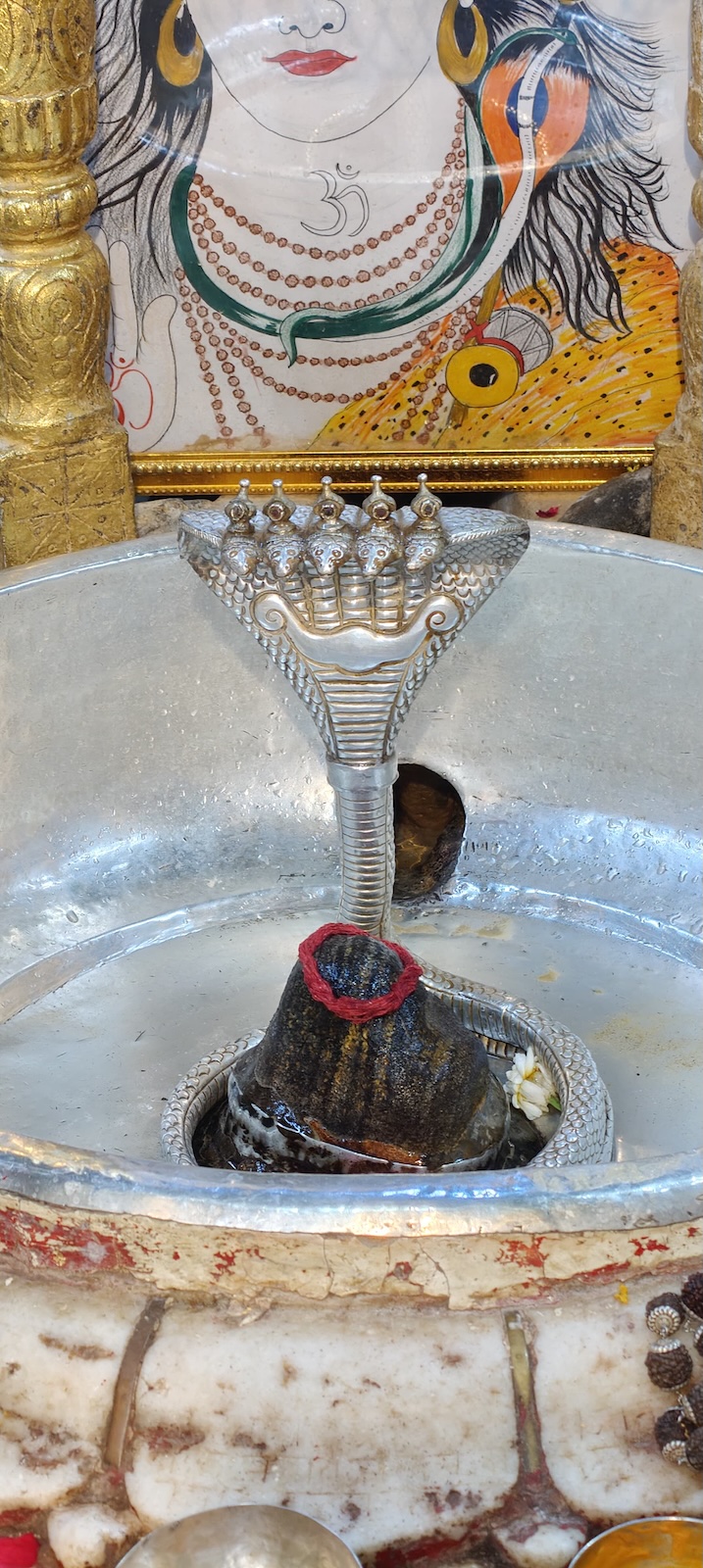 Rudrabhishek to Shree Kubereshwar Mahadev