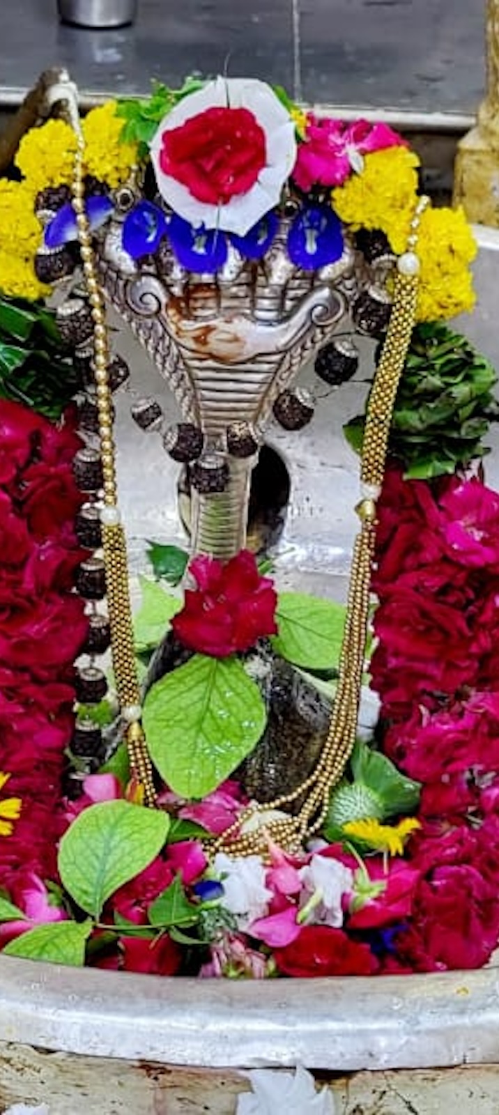 Shangar Darshan Shree Kubereshwar Mahadev