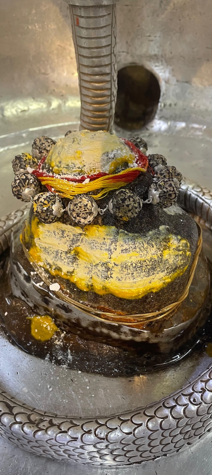 Rudrabhishek to Shree Kubereshwar Mahadev