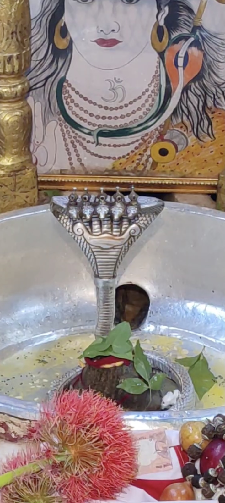 Rudrabhishek to Shree Kubereshwar Mahadev