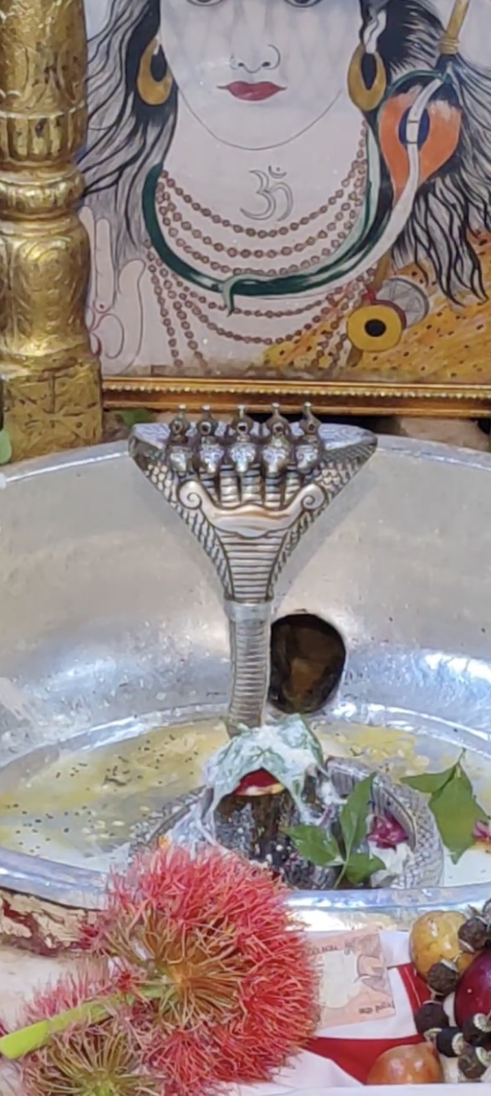 Rudrabhishek to Shree Kubereshwar Mahadev