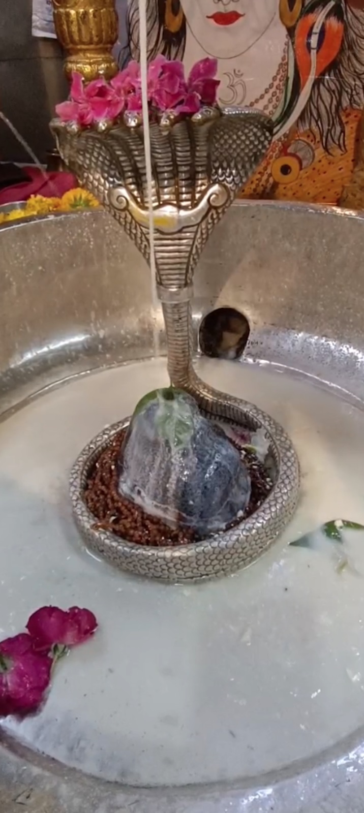 Rudrabhishek to Shree Kubereshwar Mahadev