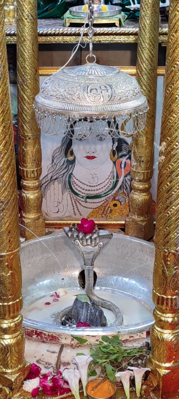 Rudrabhishek to Shree Kubereshwar Mahadev