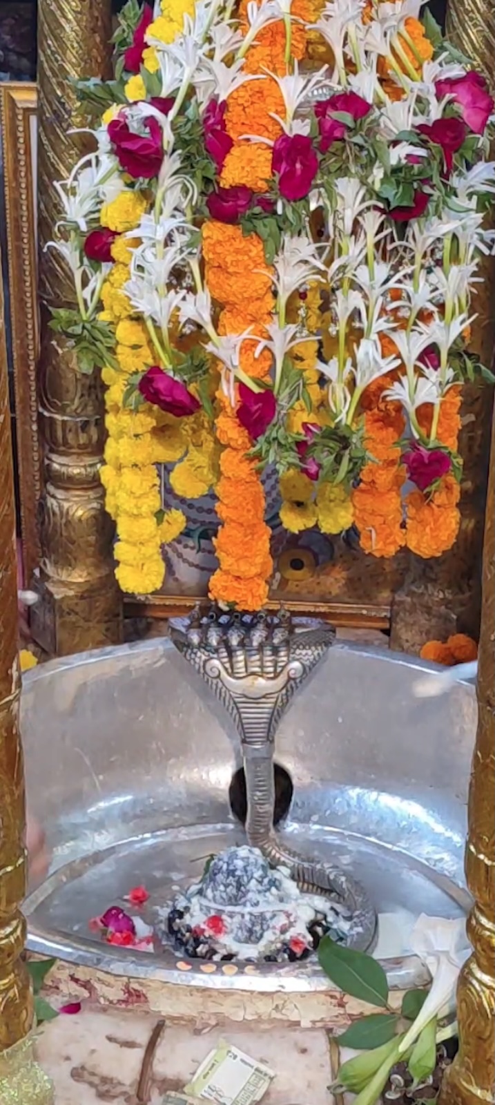 Rudrabhishek to Shree Kubereshwar Mahadev