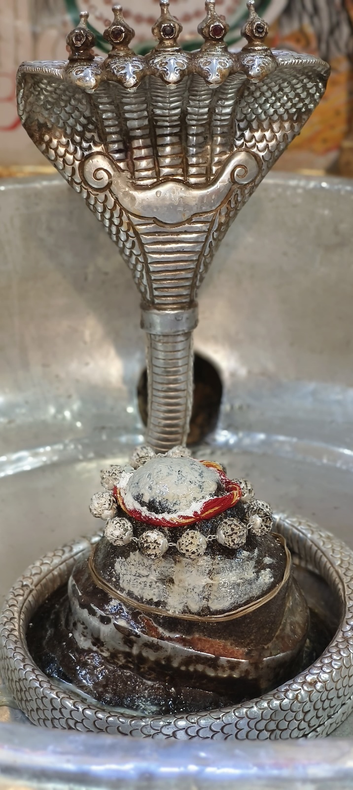 Rudrabhishek to Shree Kubereshwar Mahadev