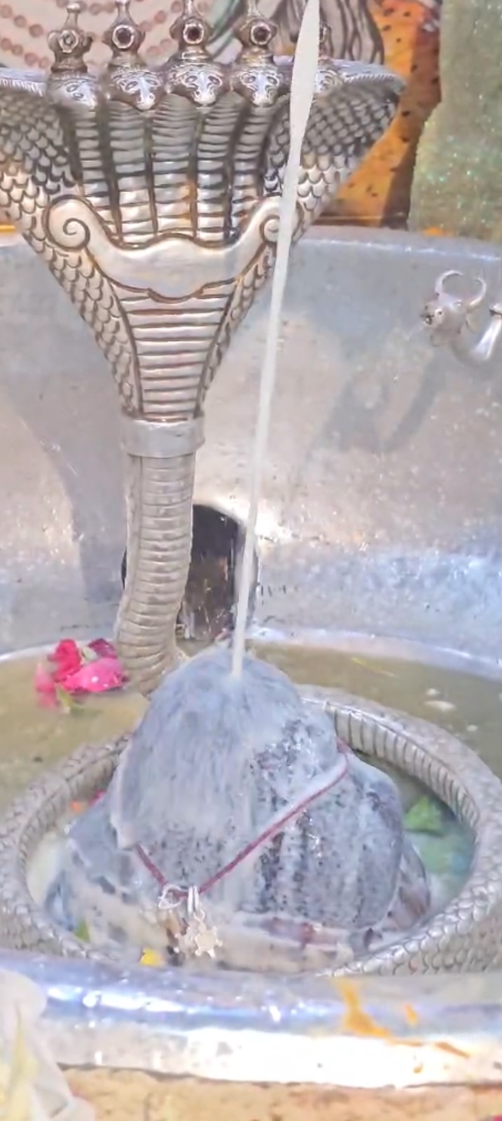 Rudrabhishek to Shree Kubereshwar Mahadev