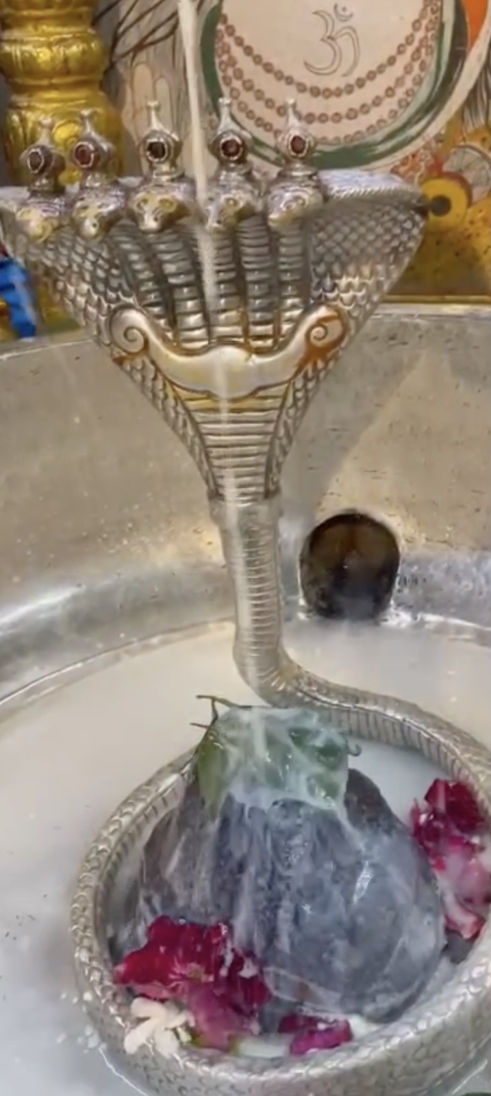 Rudrabhishek to Shree Kubereshwar Mahadev