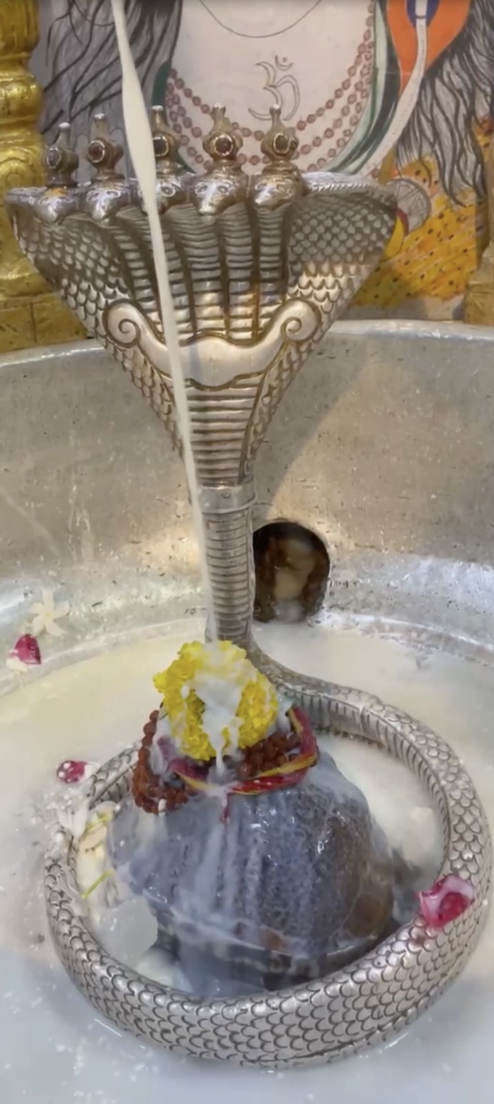 Rudrabhishek to Shree Kubereshwar Mahadev