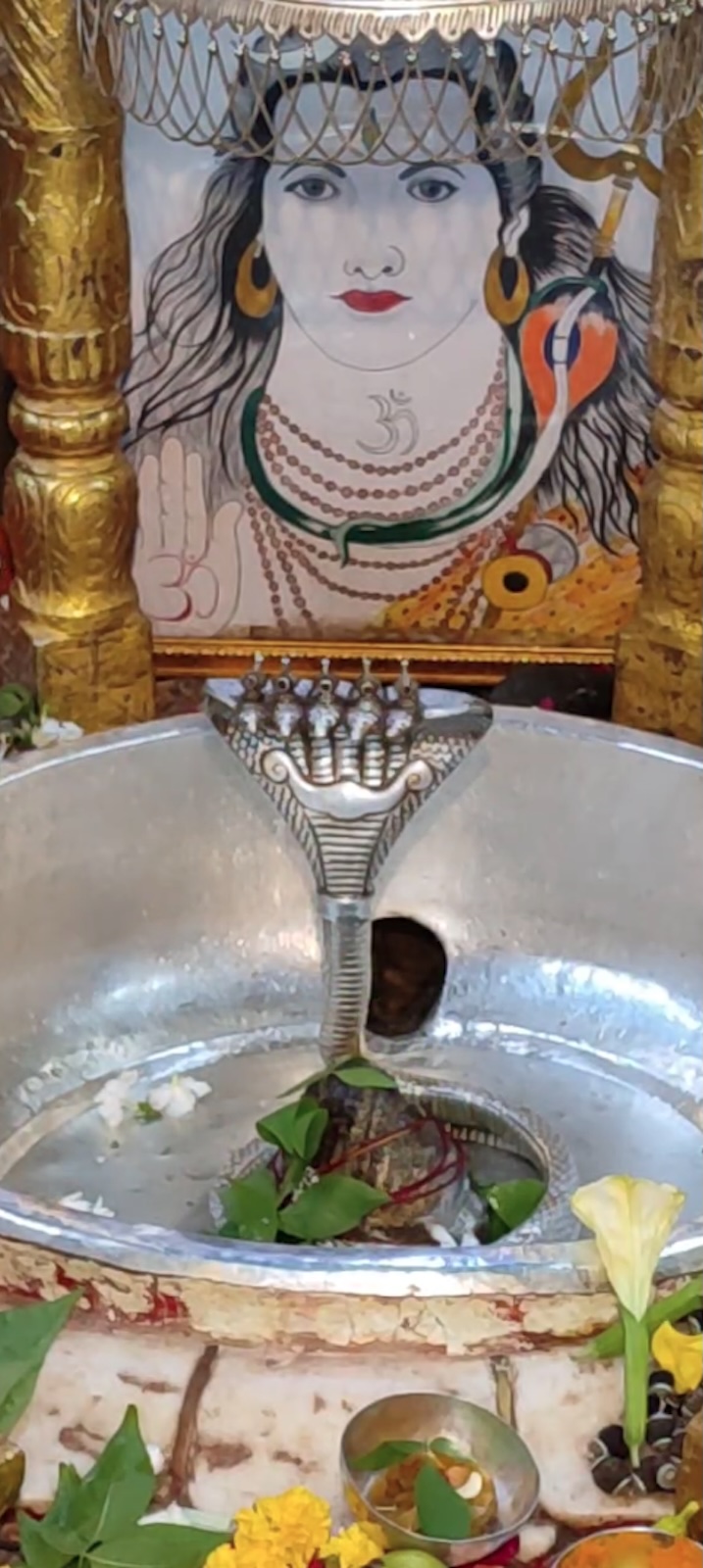 Rudrabhishek to Shree Kubereshwar Mahadev