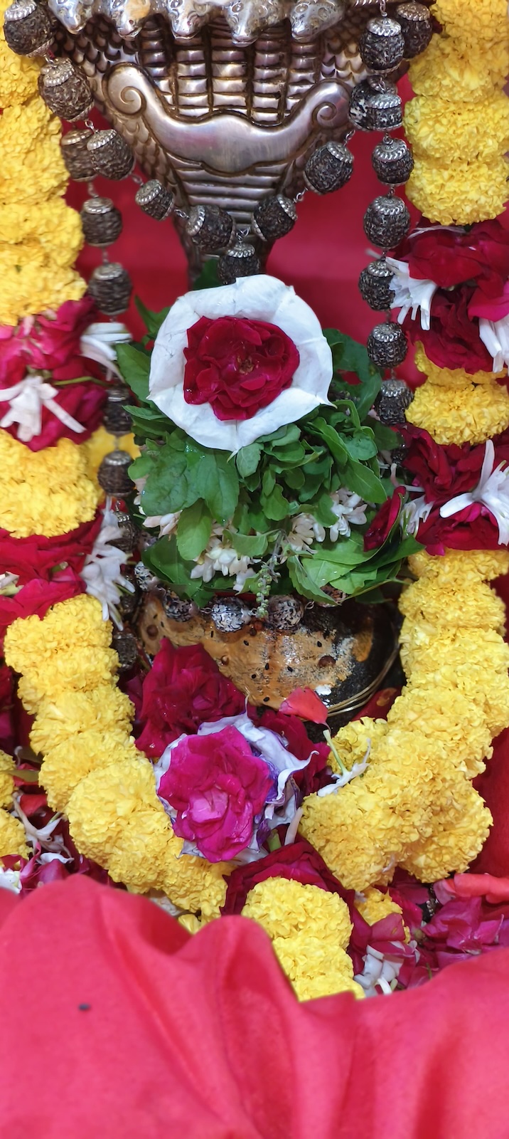 Rudrabhishek to Shree Kubereshwar Mahadev