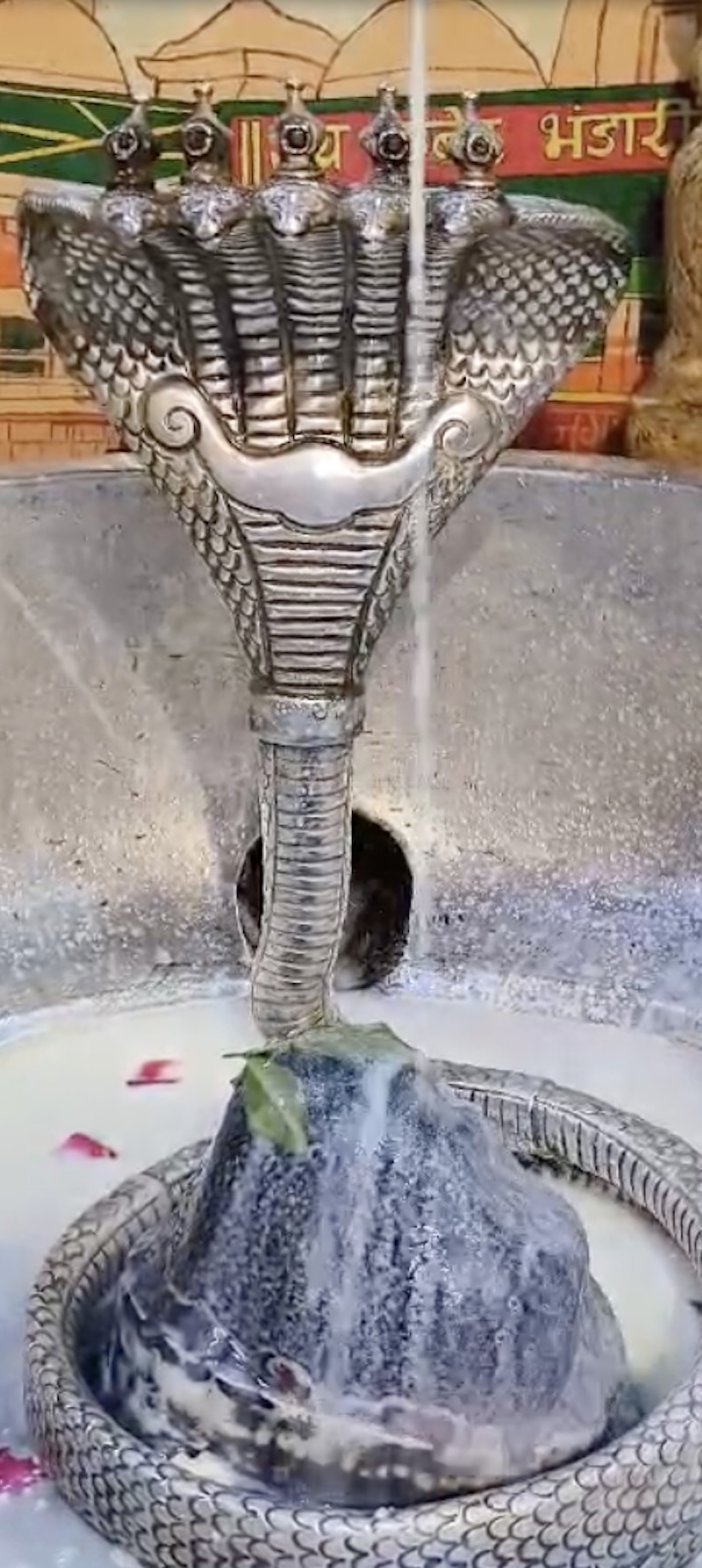 Rudrabhishek to Shree Kubereshwar Mahadev