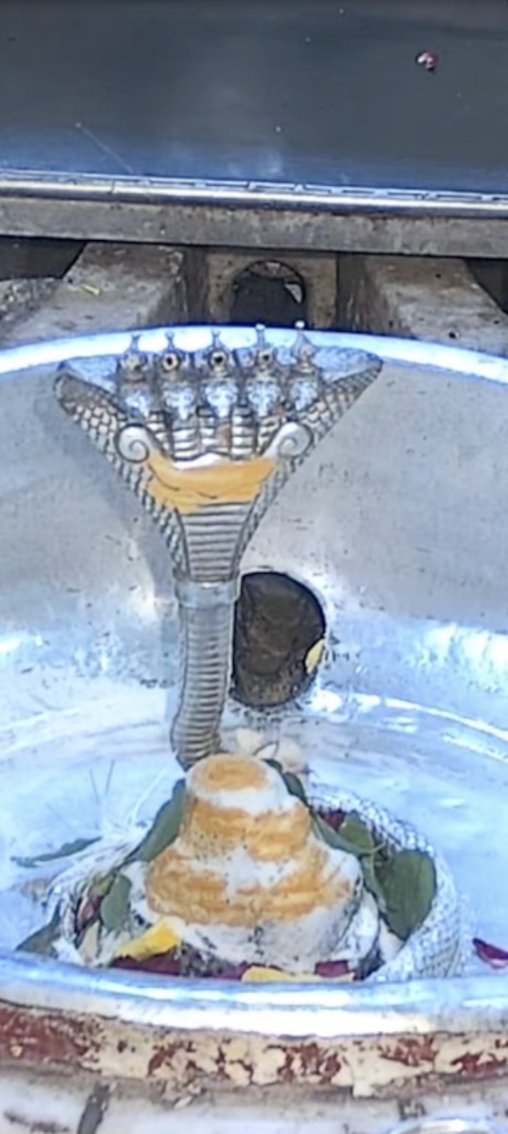 Rudrabhishek to Shree Kubereshwar Mahadev