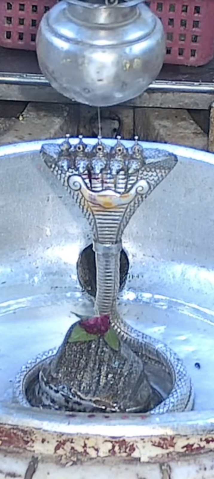 Rudrabhishek to Shree Kubereshwar Mahadev