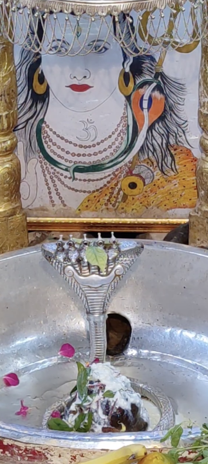 Rudrabhishek to Shree Kubereshwar Mahadev
