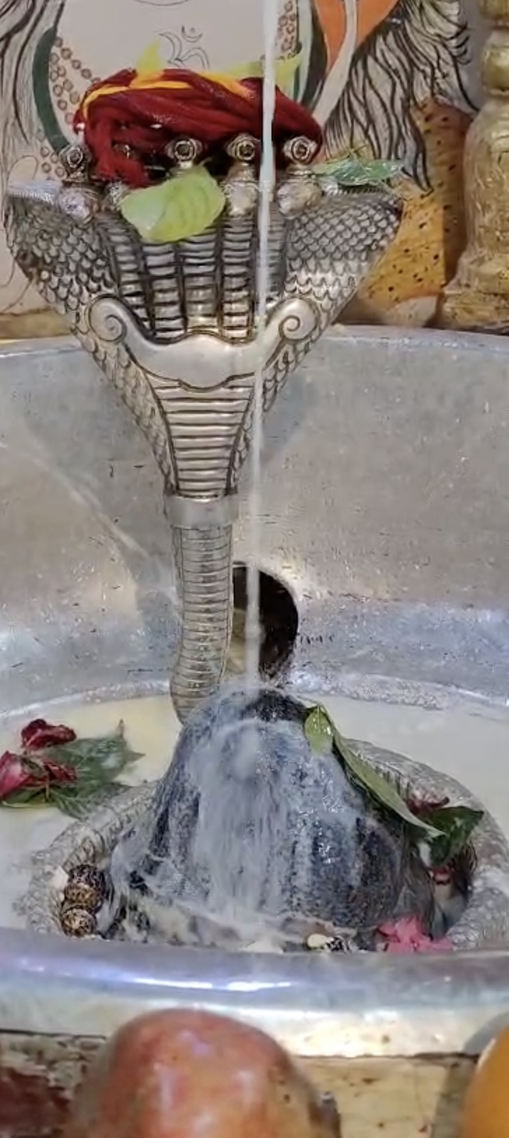 Rudrabhishek to Shree Kubereshwar Mahadev