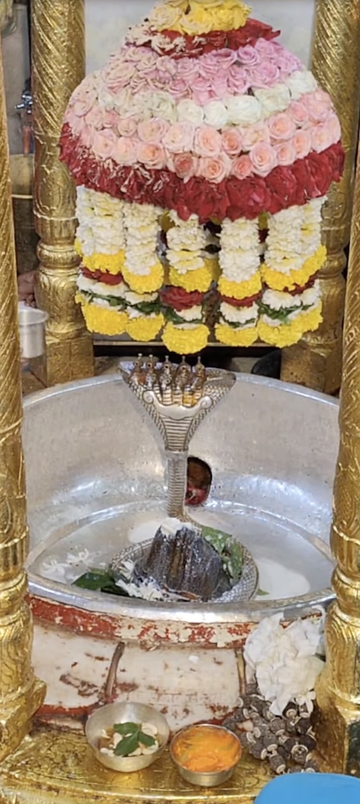 Rudrabhishek to Shree Kubereshwar Mahadev
