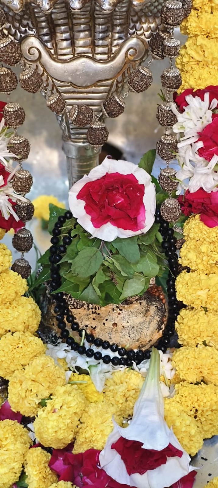 Rudrabhishek to Shree Kubereshwar Mahadev