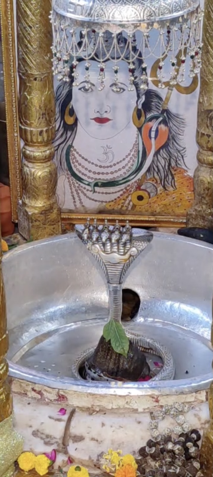 Rudrabhishek to Shree Kubereshwar Mahadev