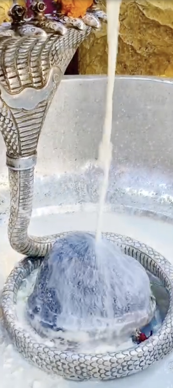 Rudrabhishek to Shree Kubereshwar Mahadev