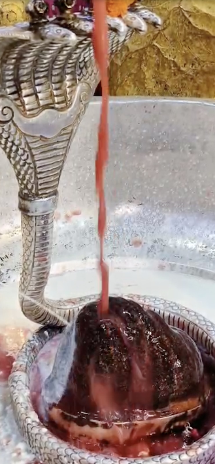 Rudrabhishek to Shree Kubereshwar Mahadev