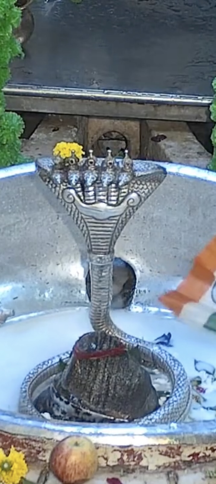 Rudrabhishek to Shree Kubereshwar Mahadev