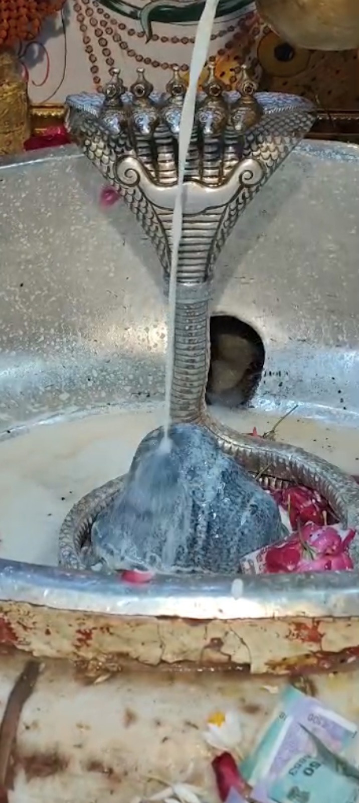 Rudrabhishek to Shree Kubereshwar Mahadev