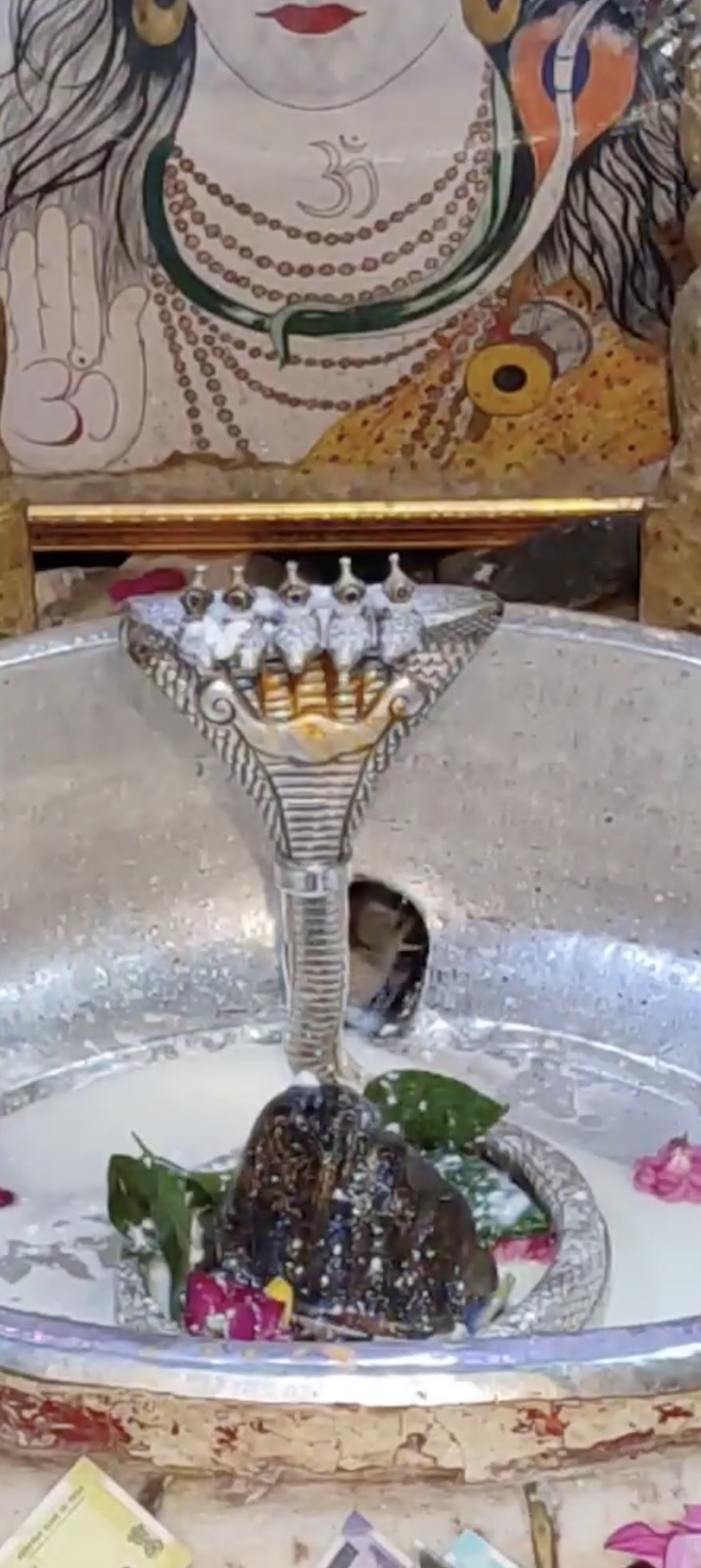 Rudrabhishek to Shree Kubereshwar Mahadev