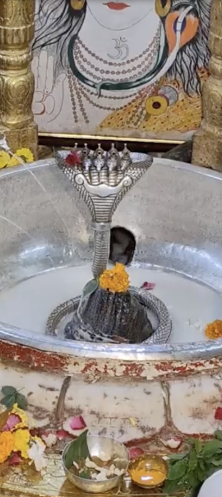 Rudrabhishek to Shree Kubereshwar Mahadev