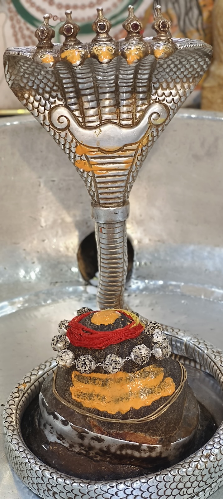 Rudrabhishek to Shree Kubereshwar Mahadev