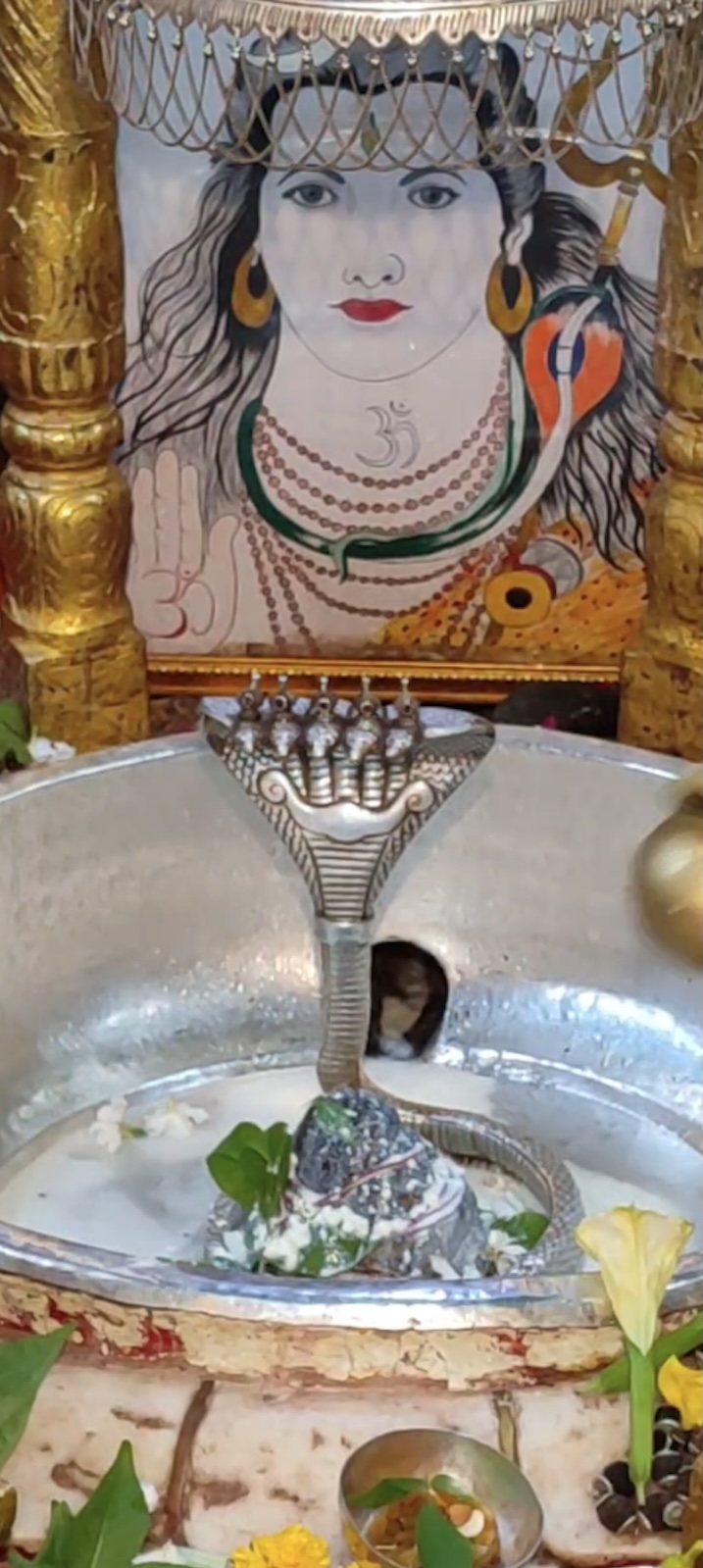 Rudrabhishek to Shree Kubereshwar Mahadev