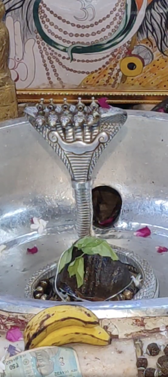 Rudrabhishek to Shree Kubereshwar Mahadev