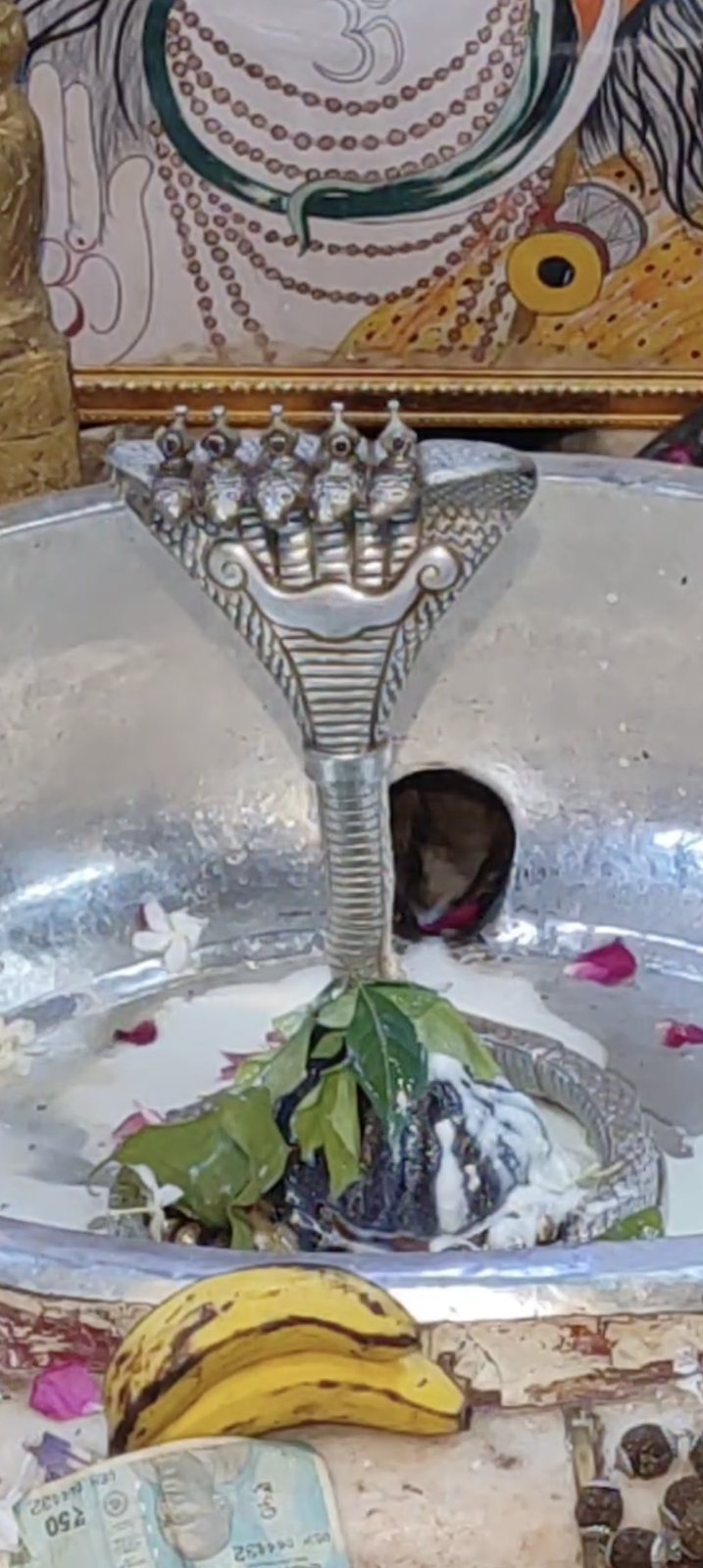 Rudrabhishek to Shree Kubereshwar Mahadev