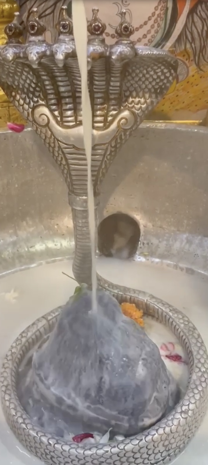 Rudrabhishek to Shree Kubereshwar Mahadev