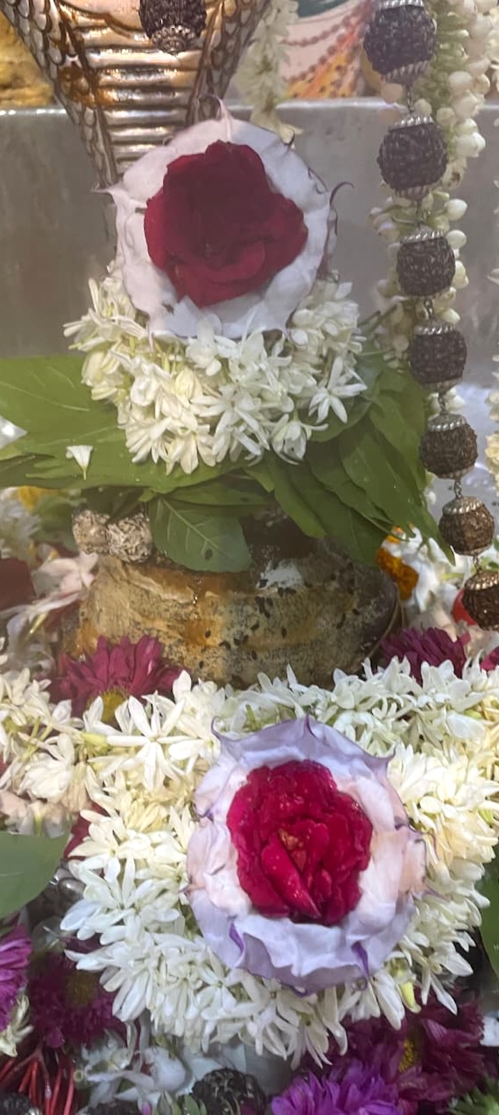 Rudrabhishek to Shree Kubereshwar Mahadev