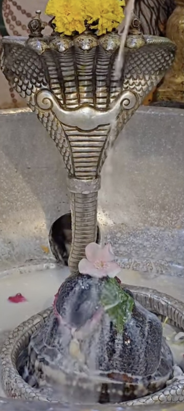 Rudrabhishek to Shree Kubereshwar Mahadev