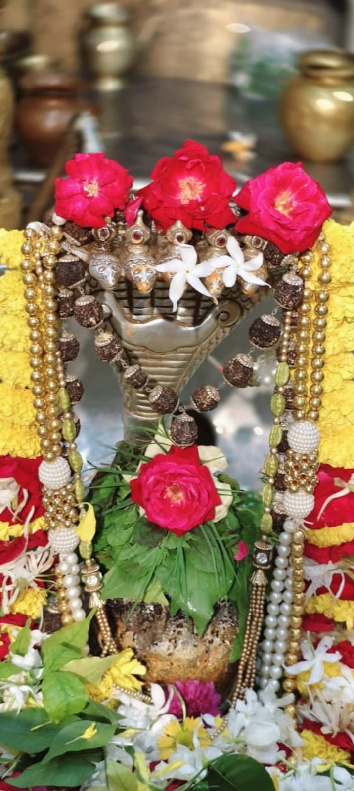 Aarti Darshan Shree Kubereshwar Mahadev