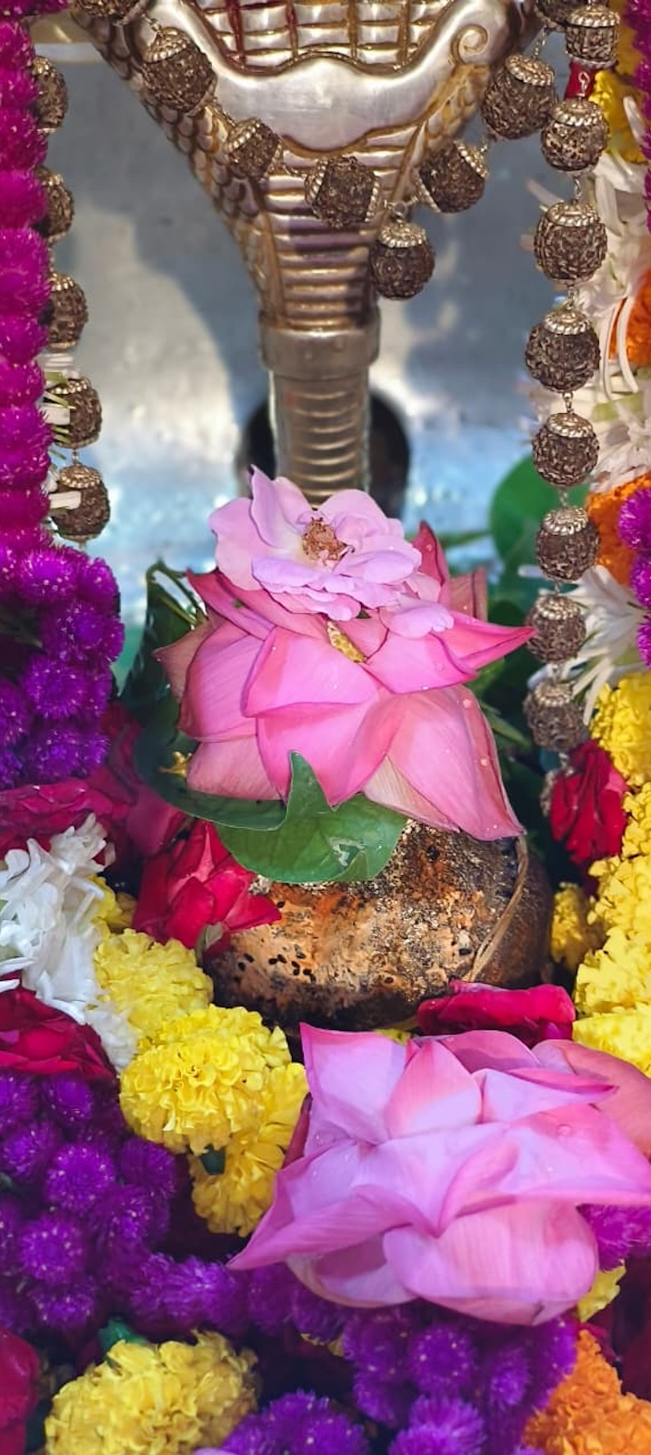 Rudrabhishek to Shree Kubereshwar Mahadev
