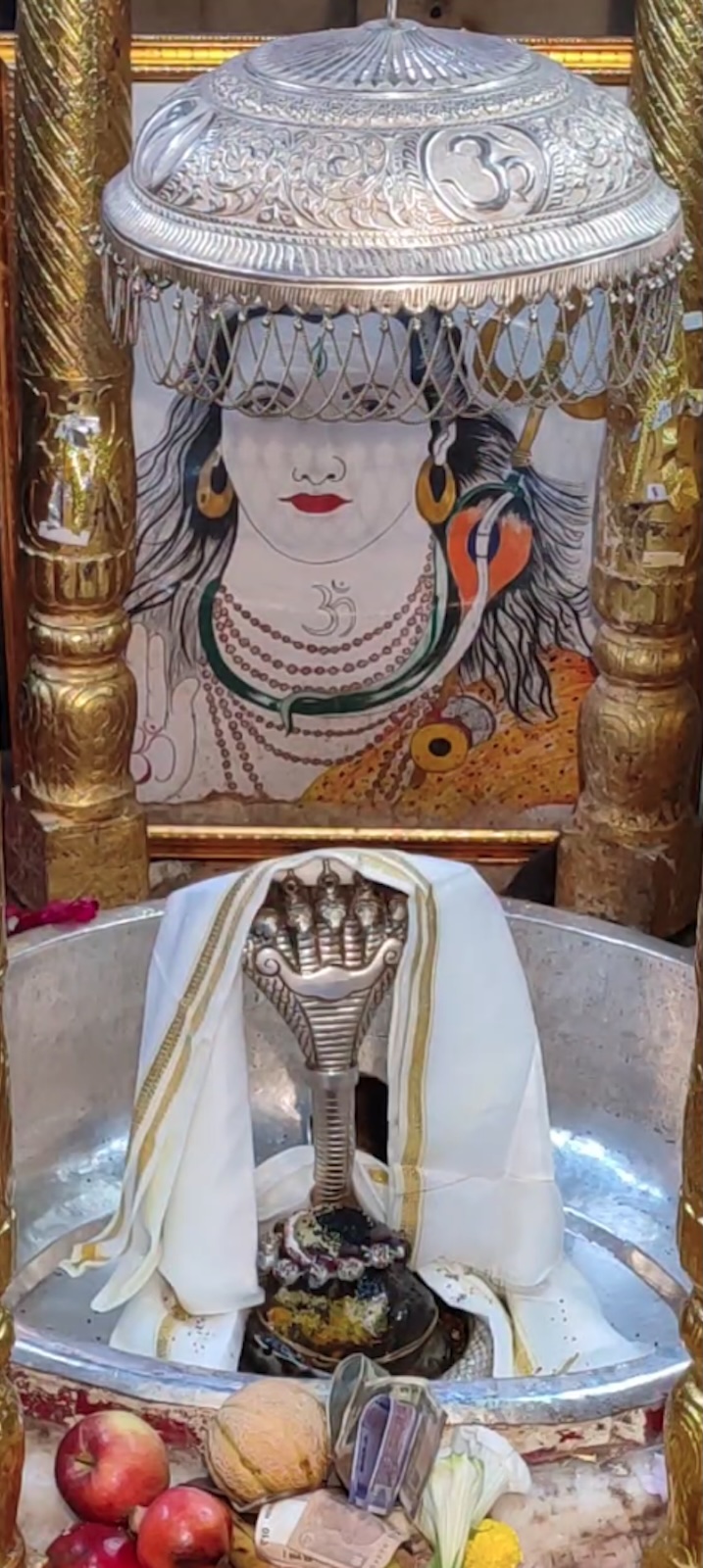 Rudrabhishek to Shree Kubereshwar Mahadev