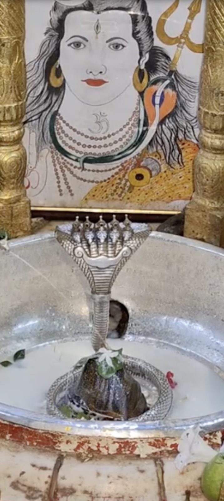 Rudrabhishek to Shree Kubereshwar Mahadev