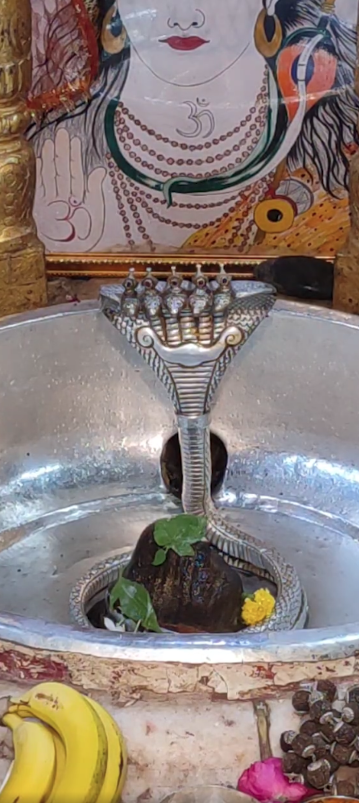 Rudrabhishek to Shree Kubereshwar Mahadev