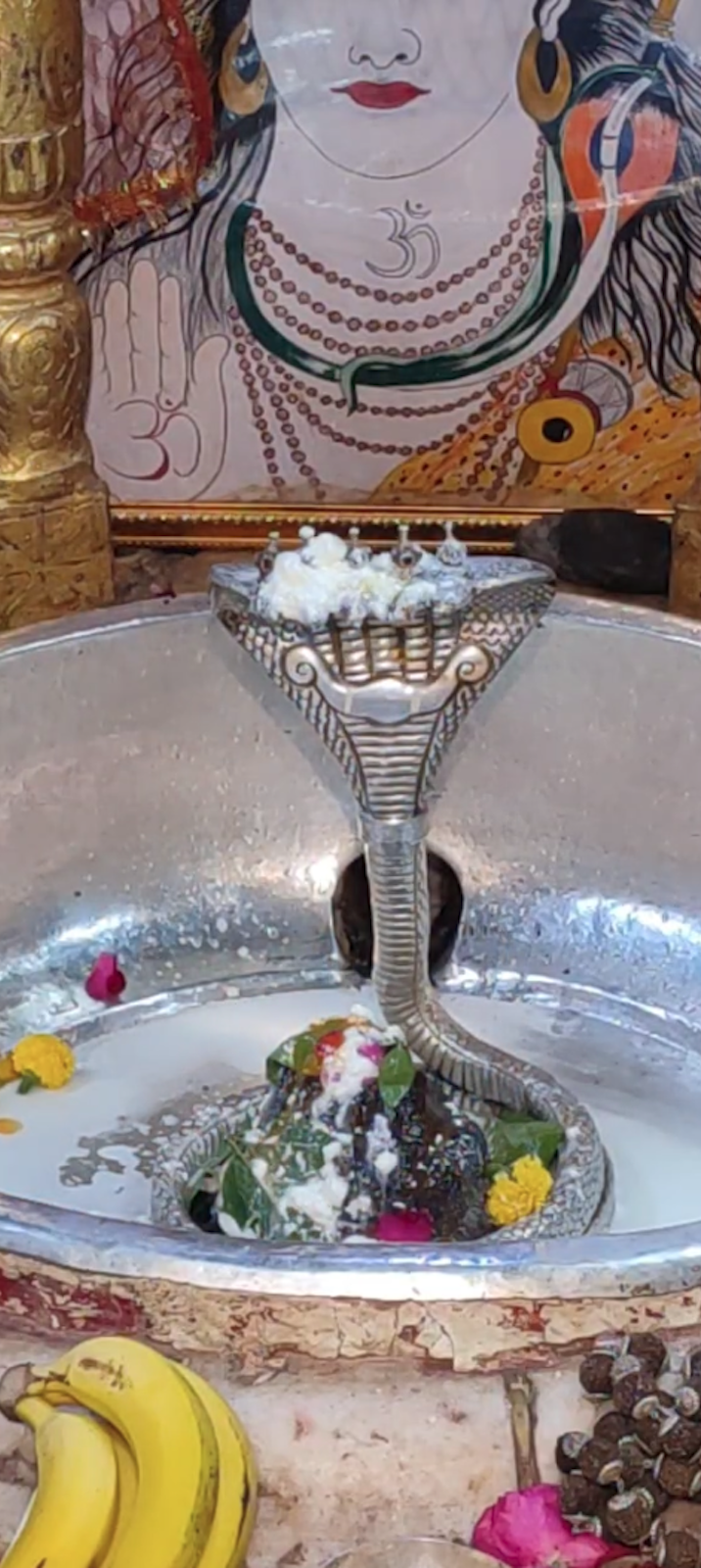 Rudrabhishek to Shree Kubereshwar Mahadev