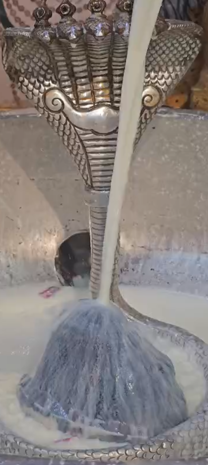 Rudrabhishek to Shree Kubereshwar Mahadev