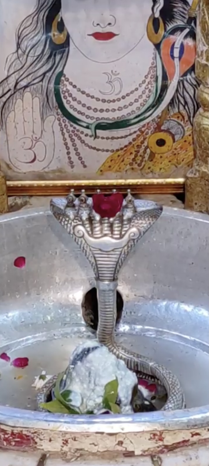 Rudrabhishek to Shree Kubereshwar Mahadev