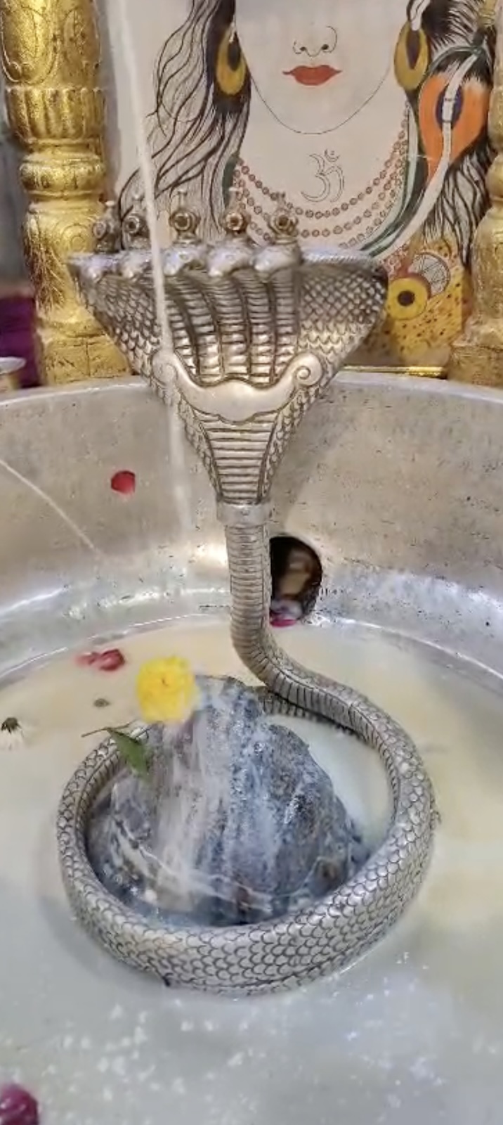 Rudrabhishek to Shree Kubereshwar Mahadev