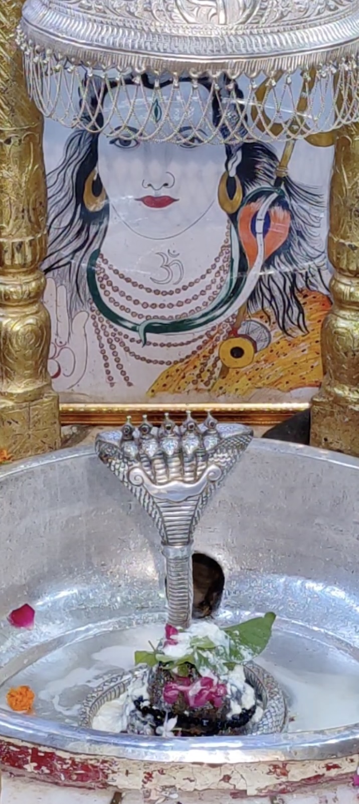 Rudrabhishek to Shree Kubereshwar Mahadev