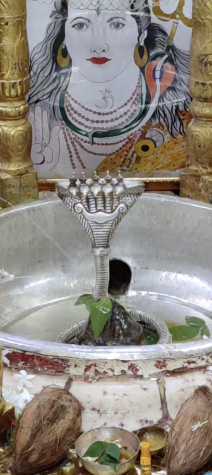 Rudrabhishek to Shree Kubereshwar Mahadev