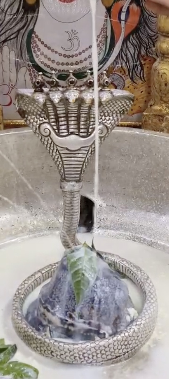 Rudrabhishek to Shree Kubereshwar Mahadev