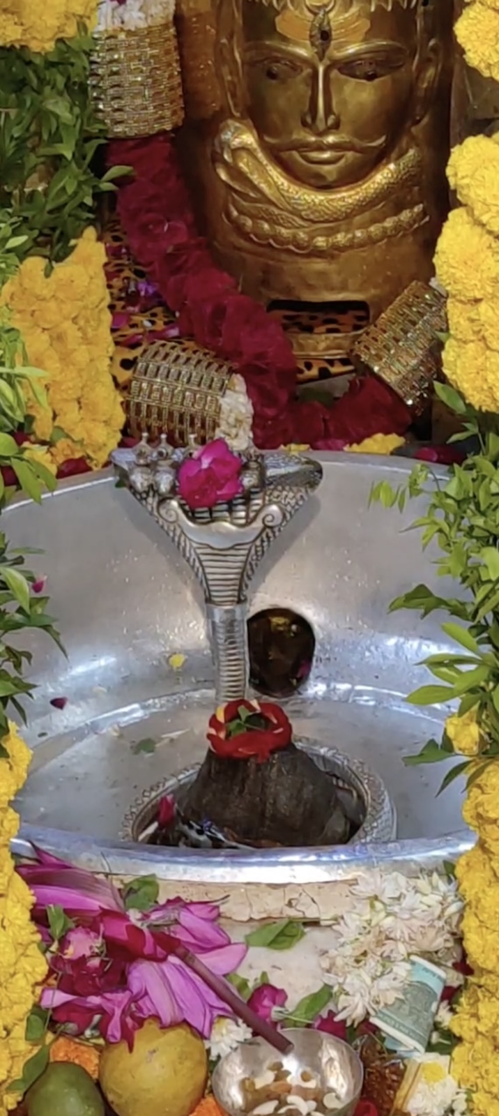 Rudrabhishek to Shree Kubereshwar Mahadev