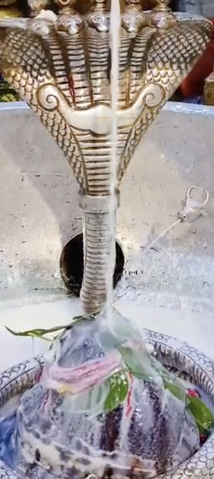 Rudrabhishek to Shree Kubereshwar Mahadev